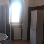 Gallo - La Cantina Del Contadino