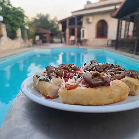 Gallo - La Cantina Del Contadino Bed & Breakfast