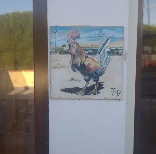 לינה וארוחת בוקר Gallo - La Cantina Del Contadino 4*